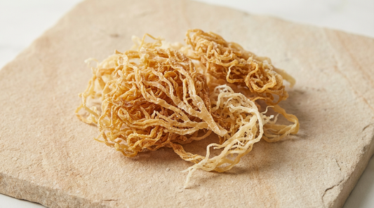 Raw Wildcrafted Sea Moss